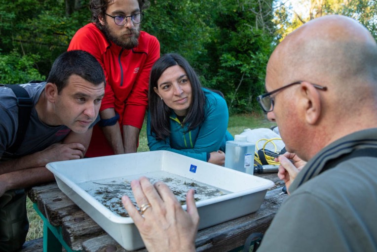 Freshwater biologist and crayfish expert, Tommaso Pagliani, and the Rewilding Apennines team analyze a sample of the benthonic invertebrate fauna collected in the Verde river near Borrello among the activites foreseen for for white-clawed crayfish (Austropotamobius italicus meridionalis) breeding, restocking and introduction carried out on behalf of Rewilding Apennines. Central Apennines, Italy. 2020