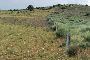 Abandoned land, Castelo Rodrigo, Portugal