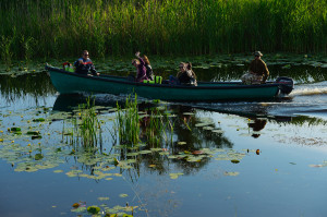Tourism in the delta, boat trip, Danube delta rewilding area, Romania