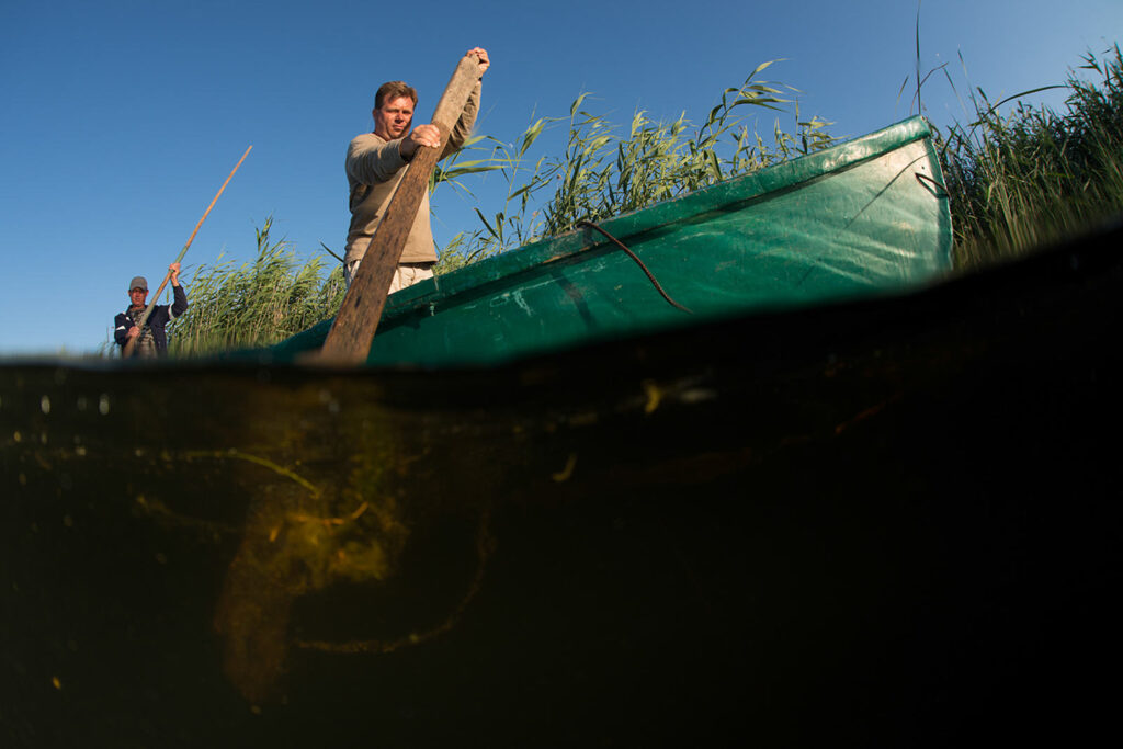 The EU Nature Restoration Law: Turning the Tide | Rewilding Europe