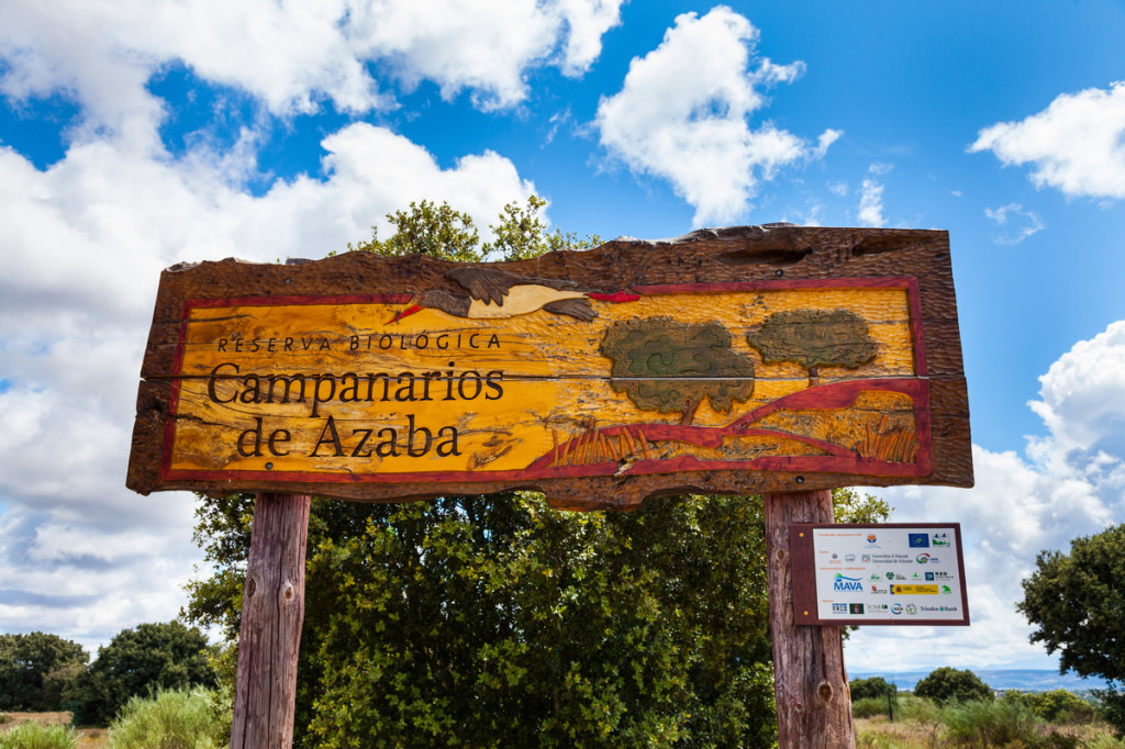 Campanarios de Azaba Biological Reserve, Salamanca, Castilla y Leon, Spain, Europe