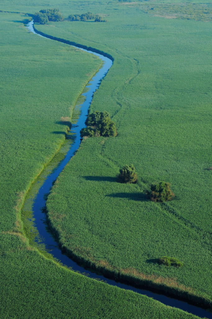 Danube Delta | Rewilding Europe