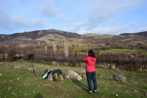 Counting griffon vultures in the Eastern Rhodopes, Bulgaria.