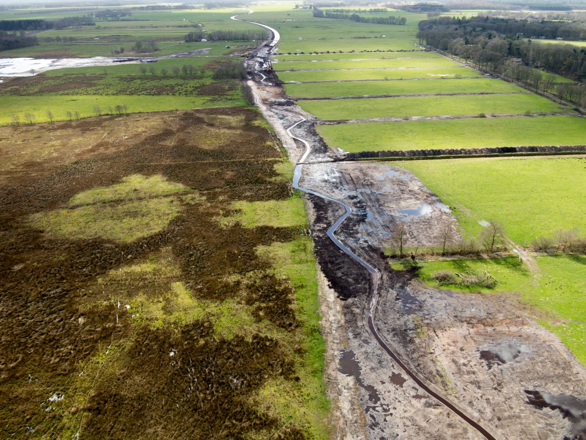 Nature restoration in Drents-Friese Wold National Park | Rewilding Europe