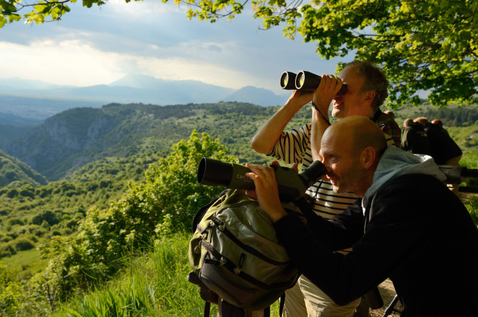 Wildlife watching in The Central Apennines rewilding area, Italy, in and around the Abruzzo, Lazio e Molise National Park.