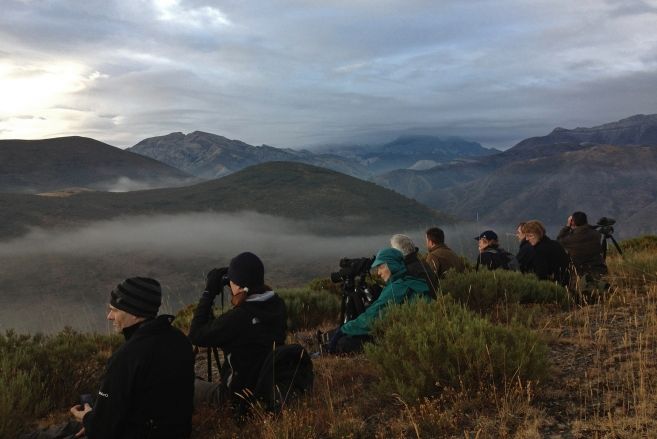 A group of observers watching for wolves in Riaño Mountains (Léon, Spain) at dawn 