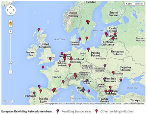 Map showing European Rewilding Network (ERN) members and rewilding areas.