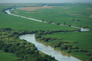 Aerials over the Danube Delta rewilding area, Romania.