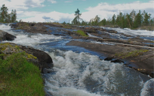 Rewilding Lapland in cooperation with the Pite River local association plans to restore a 9 km long part of the Pite River near the spectacular water rapids of Trollforsen.