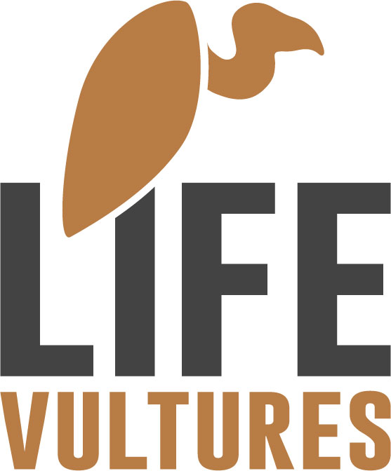 life-vultures-colour
