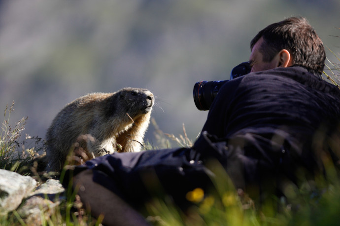 You don’t have to make a wild Alpine Marmot pose for you, just post your best wildlife photo on your Instagram feed and tag it with #ReWild4Wildlife and #WorldWildlifeDay. 