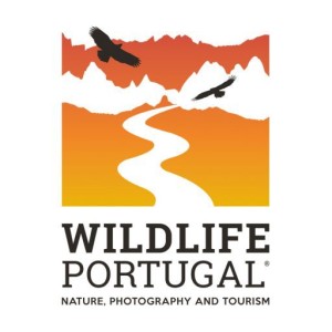 cropped-wildlifeportugal_profile_fb