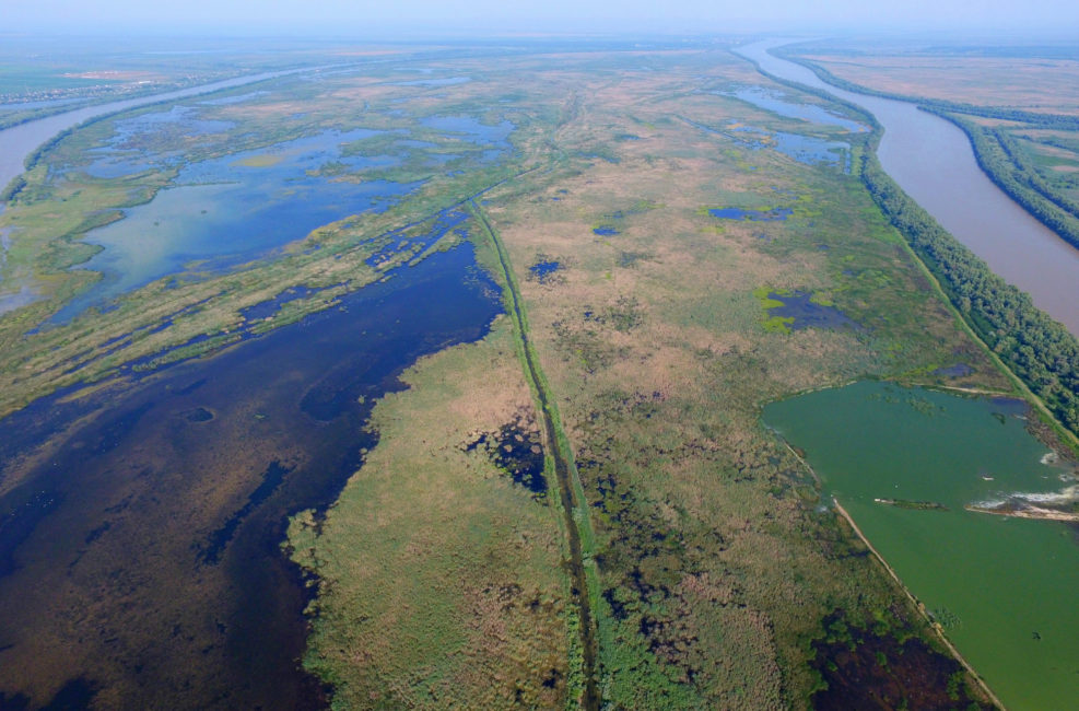 The Danube Delta Rewilding Area Expands Into Ukraine 