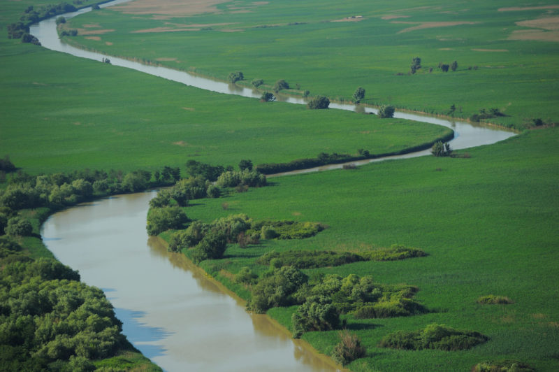 The Danube Delta Rewilding Area Expands Into Ukraine | Rewilding Europe