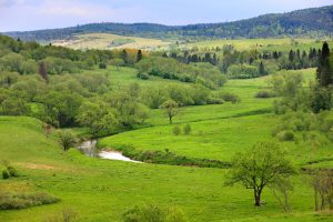 meadows at San River Valley along the border between Poland and Ukraine, Bieszczady Mountains, Eastern Carpathians, Poland