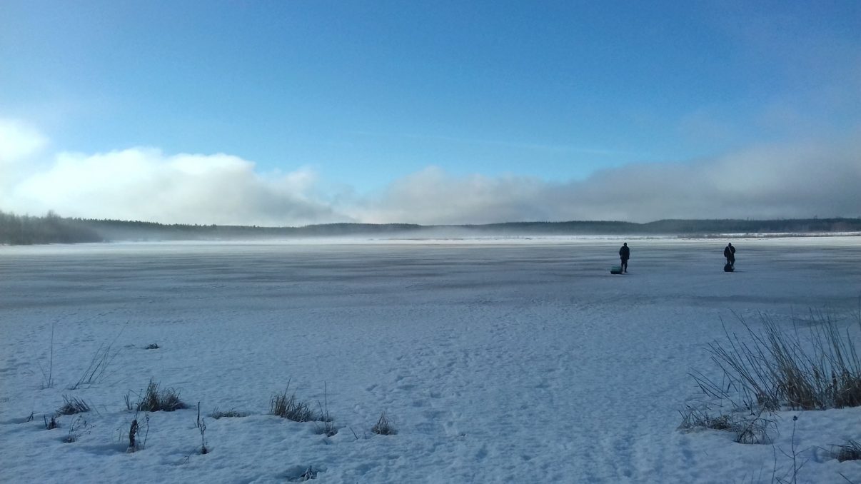 Linnunsuo wetland in Finland.