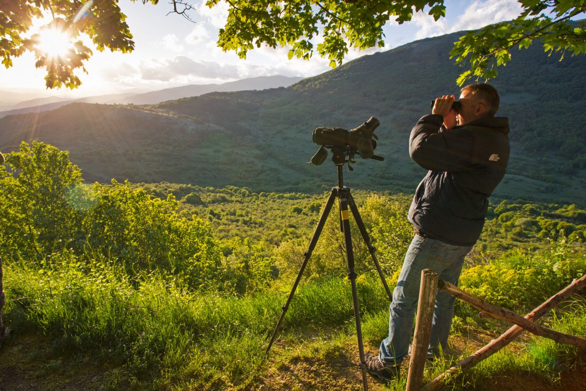 Bear watching in the Abruzzo National Park, Central Apennines.