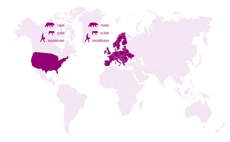Wolf Rewilding Europe