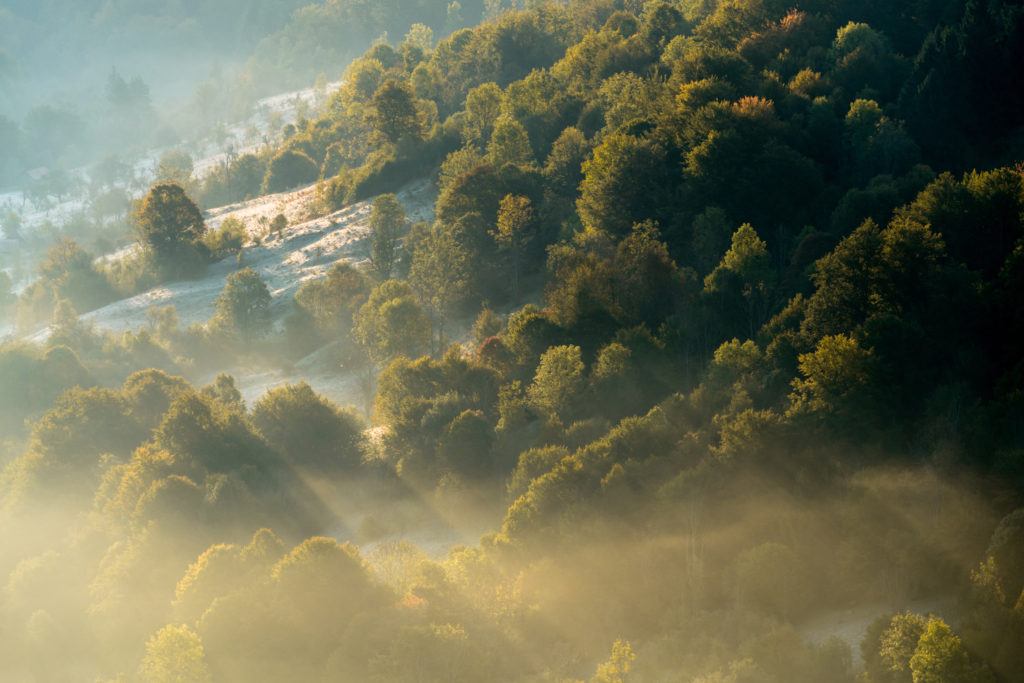 Photo of the Southern Carpathians rewilding area by Daniel Mirlea was featured together with the exhibition "The biggest land mammal in Europe returns to the Southern Carpathian wilderness" at the Bucharest Photo Festival.