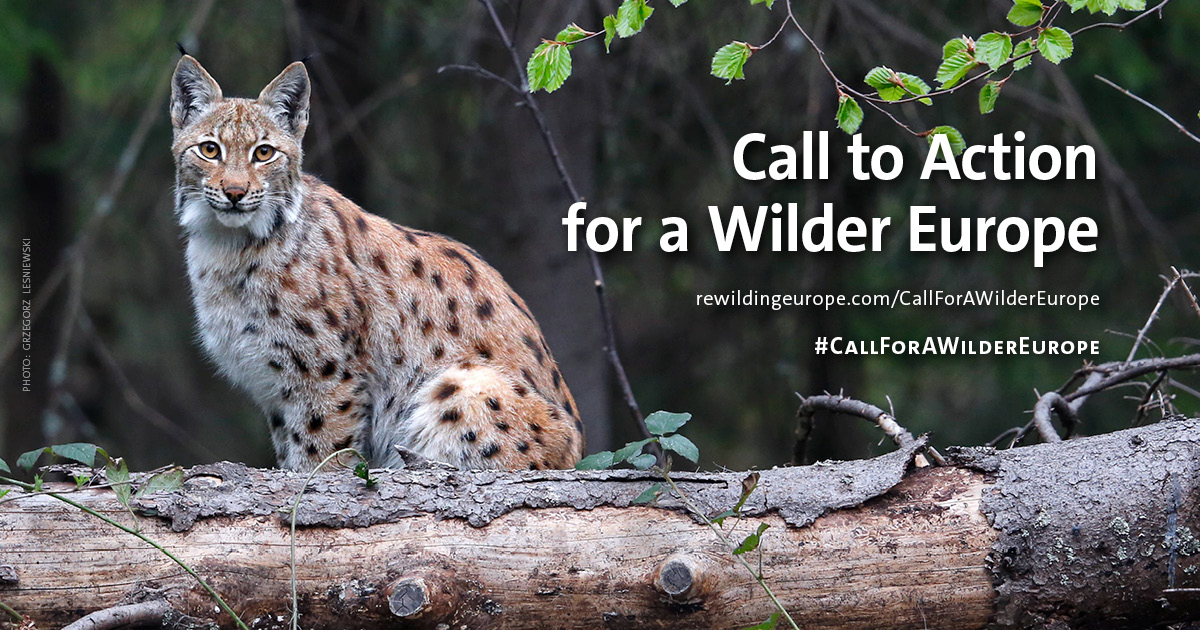 Appel A L Action Pour Plus De Nature En Europe Rewilding Europe