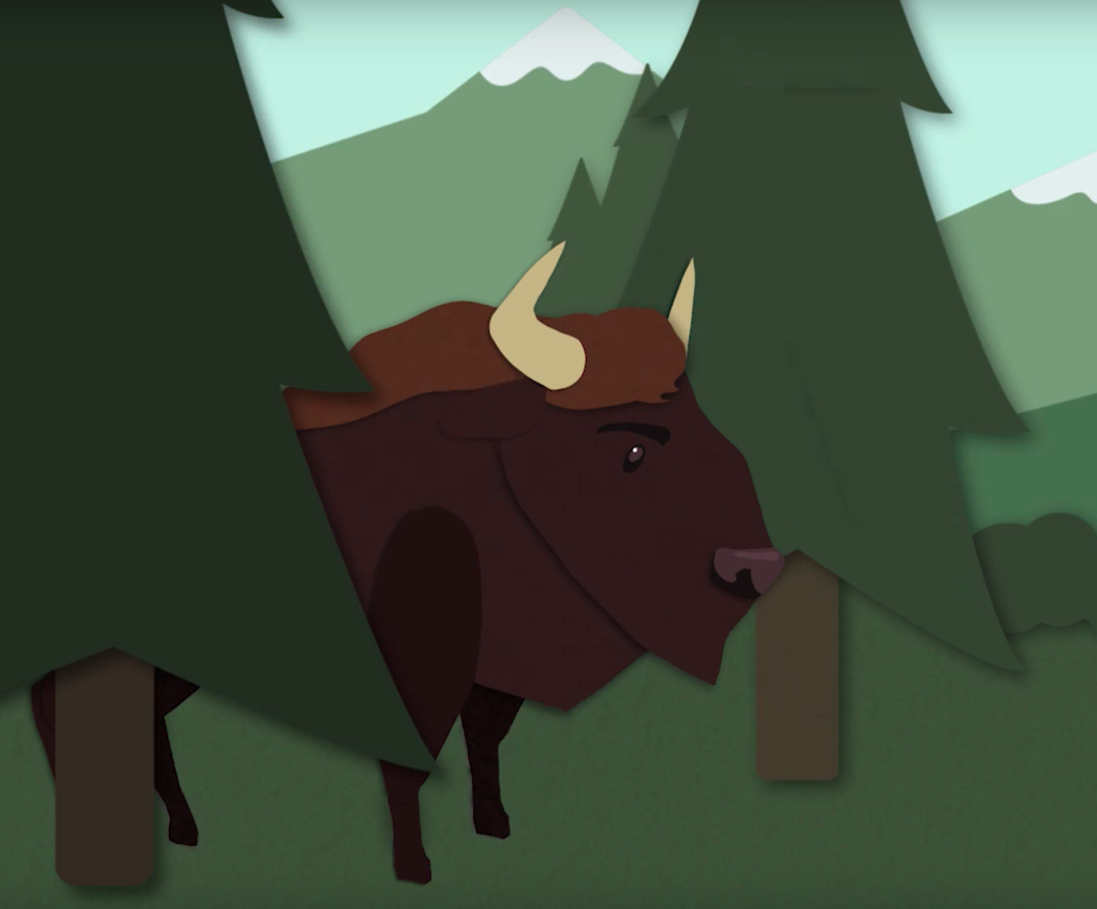 New animation promotes human-bison coexistence in the Southern ...