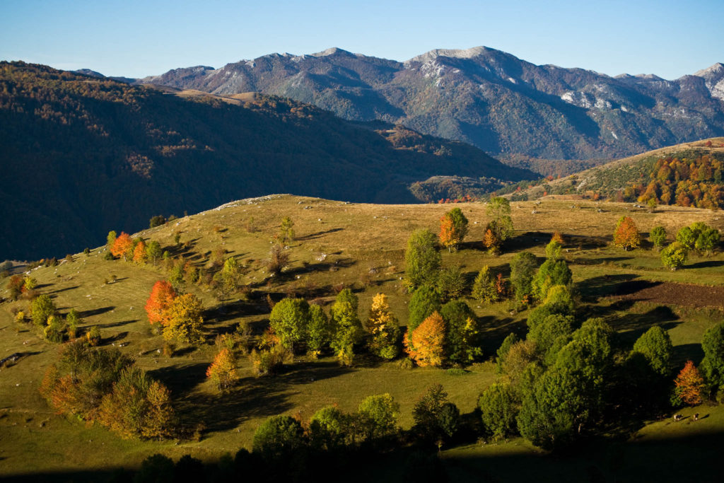 Komarnica Canyon Landscape in Autumn colors, Durmitor NP, Montenegro