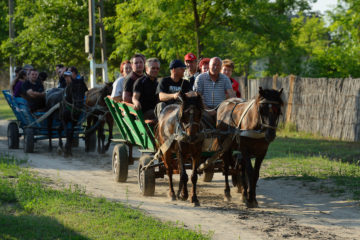 Tourism in the delta, horse wagon trip, Letea, Danube delta rewilding area, Romania