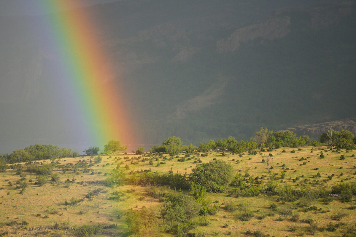 Rainbow on a grazed landscape, grazed by Fallow deer, Dama dama, Studen Kladenets reserve, Eastern Rhodope mountains, Bulgaria