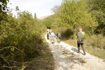 Participants of the Rewilding Economy Seminar while walking in nature