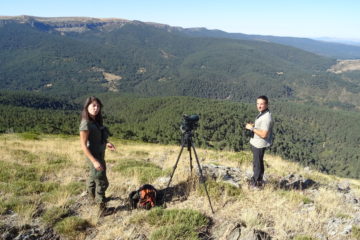 Rewilding Rhodopes team members learn about cinereous vulture reintroduction from experts in Spain.