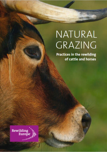 Natural Grazing booklet cover