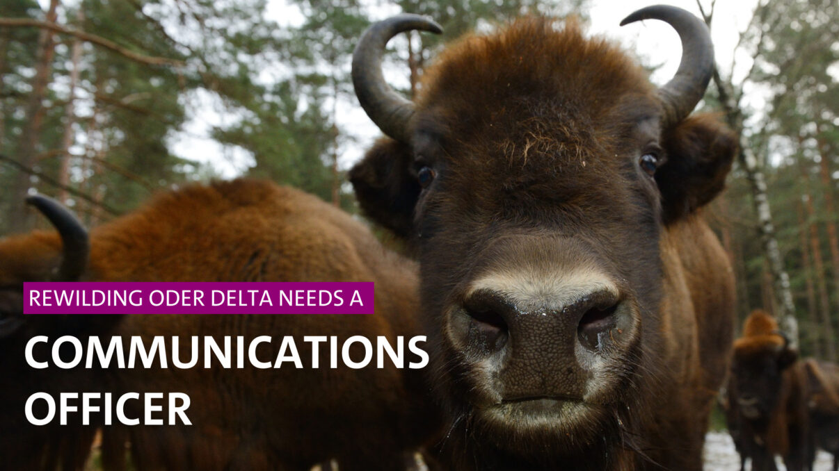 Rewilding Oder Delta vacancy Communications Officer