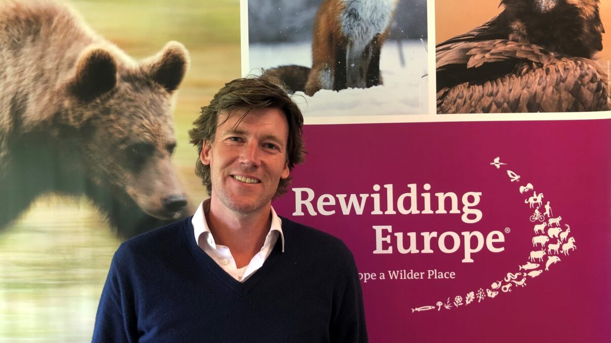 Willem Nolens as the new Head of Finance of Rewilding Europe