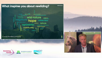 screenshot presentation Frans during rewilding symposium