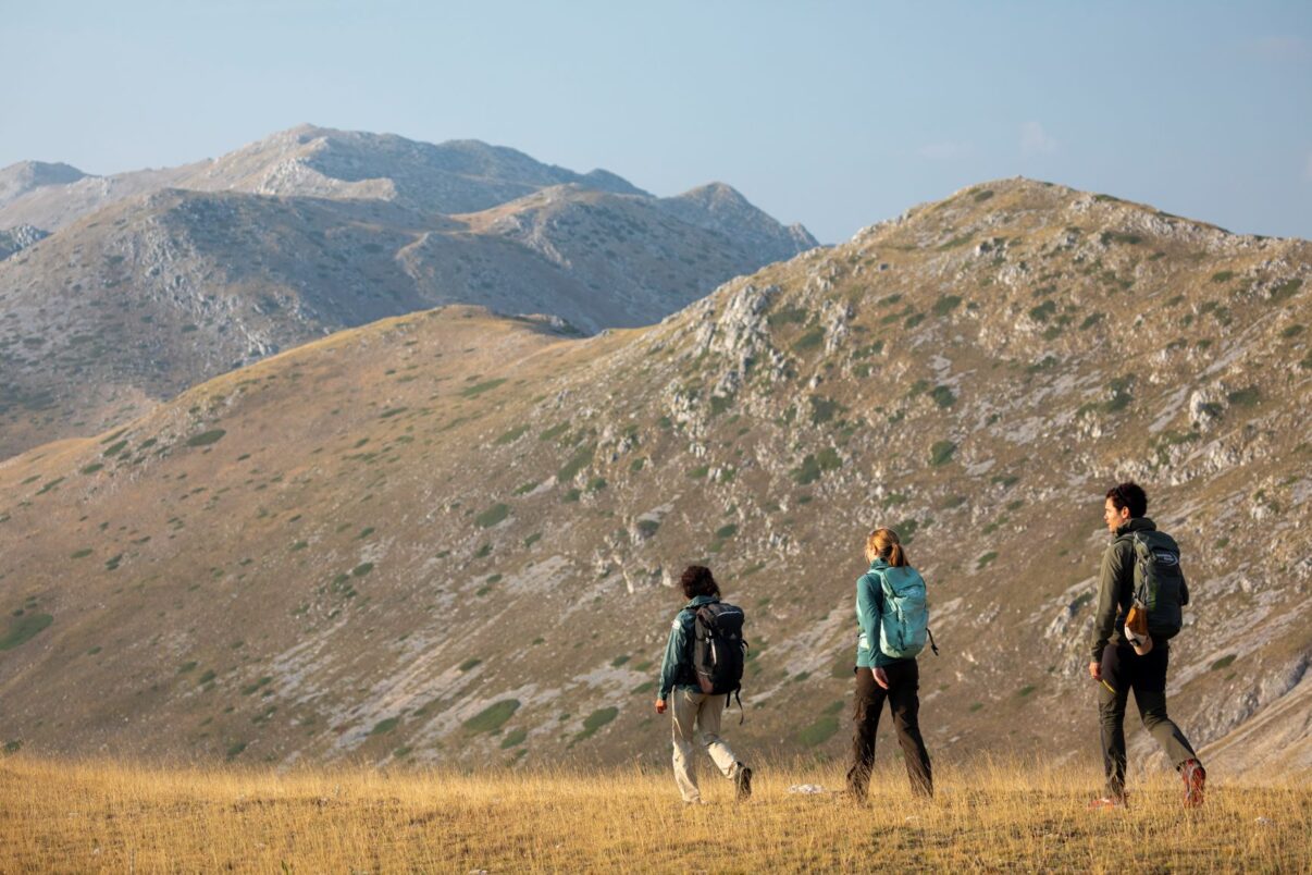 Rewilding Training Tourism in the Central Apennines