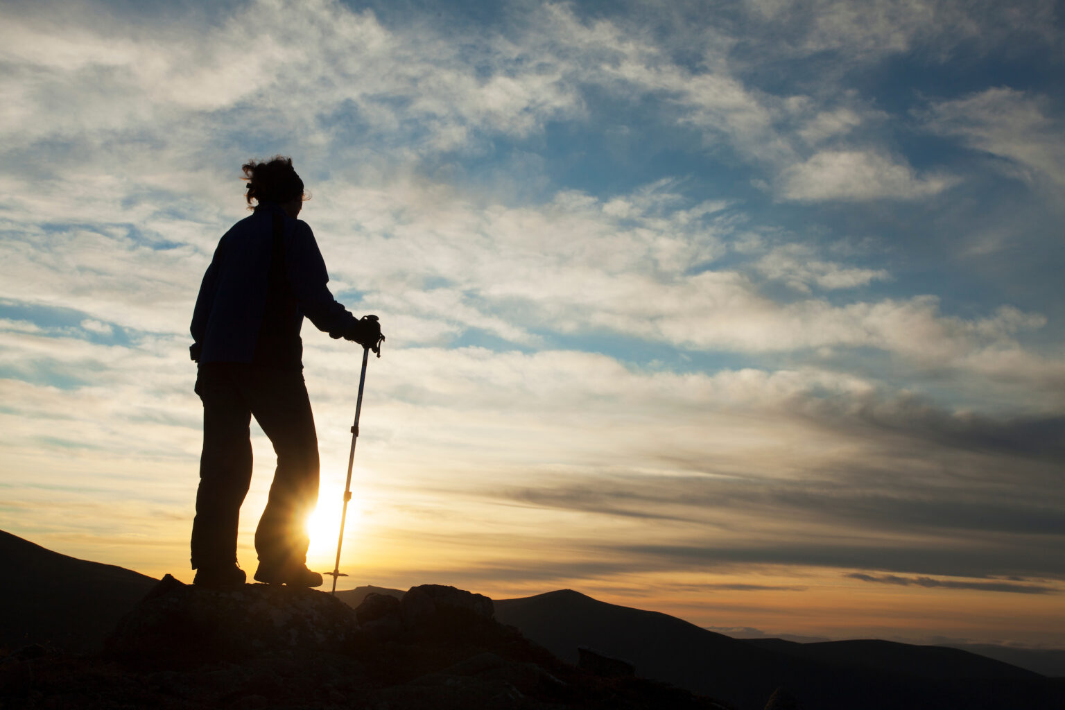 Wilding Course Join Our Open Online Rewilding Course | Become a Rewilder