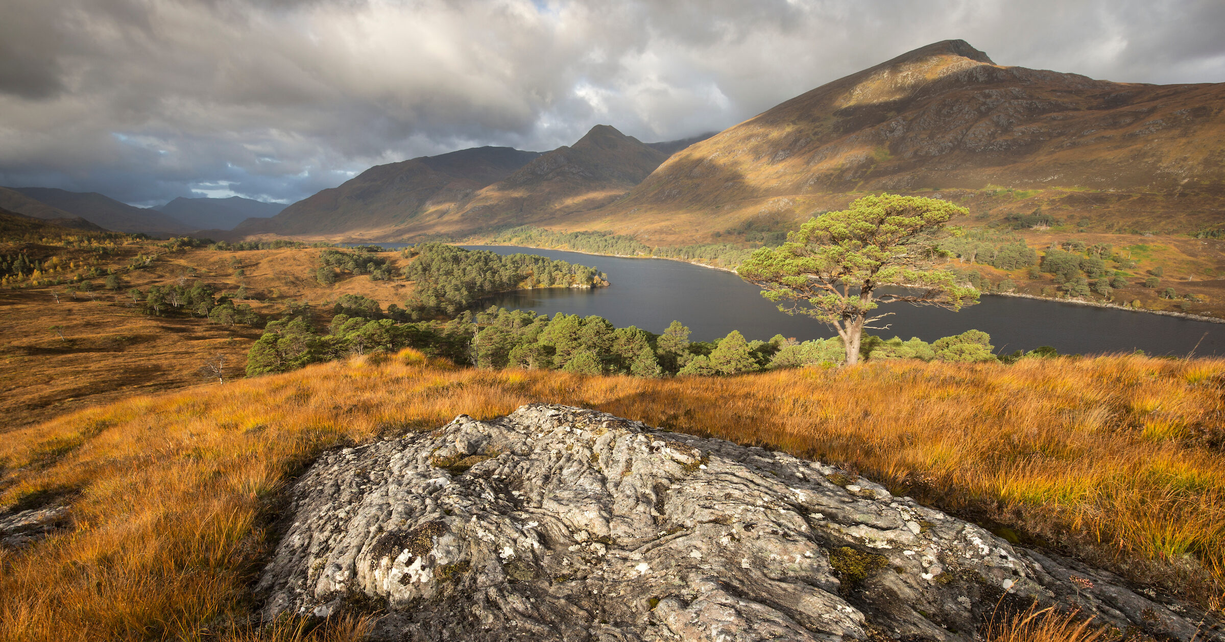 Rewilding Affric Highlands to advance nature recovery in Scotland