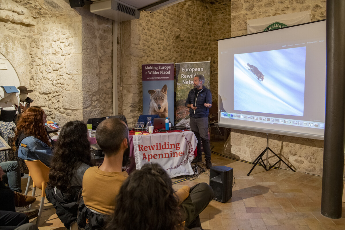 Photographer and Rewilding Apennines board member Bruno D'Amicis telling about his work