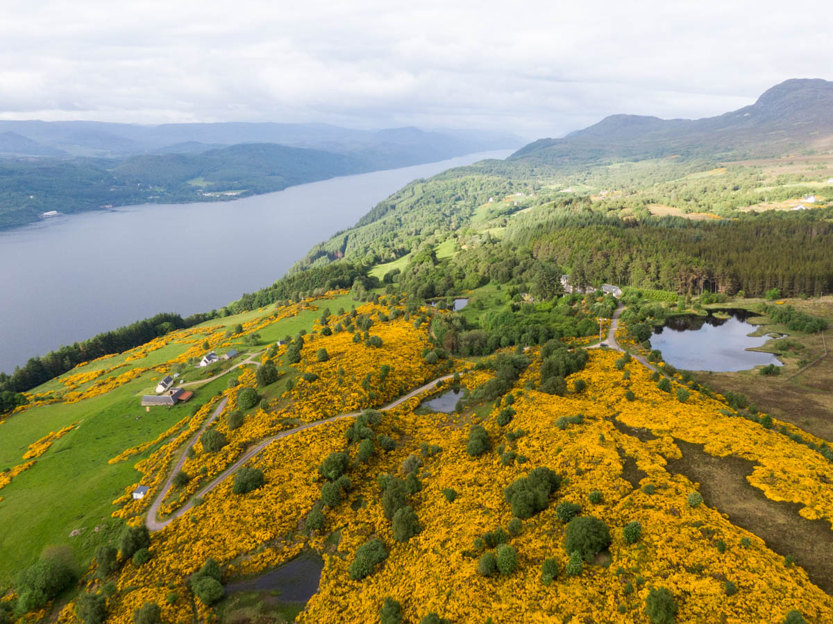 Bunloit Estate, ScotlandMay