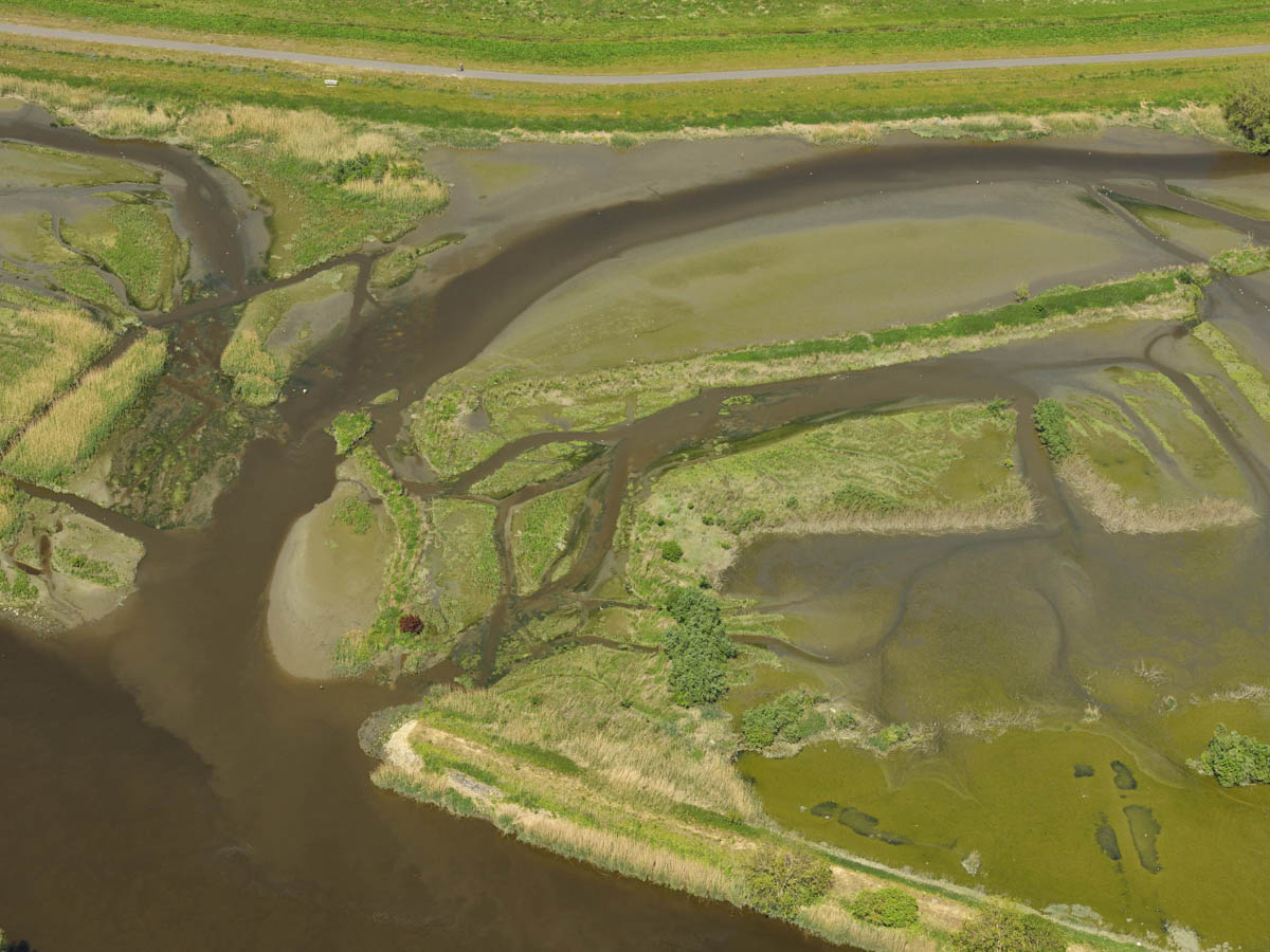 Scheldt River, BelgiumMay