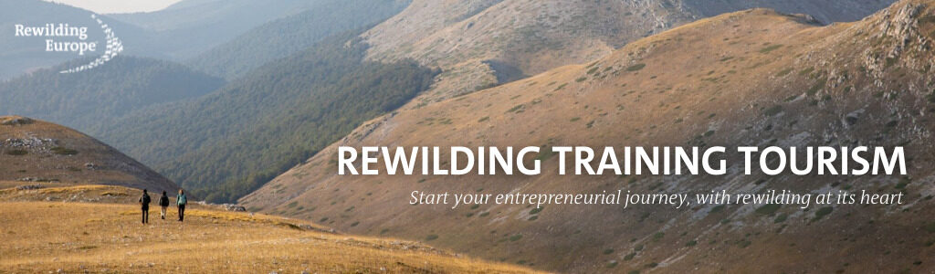Rewilding Training Tourism banner