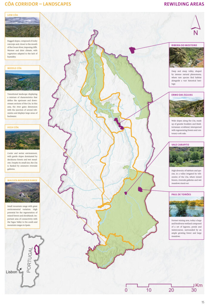 New rewilding site within the Greater Coa Valley improves connectivity ...