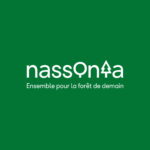 Nassonia