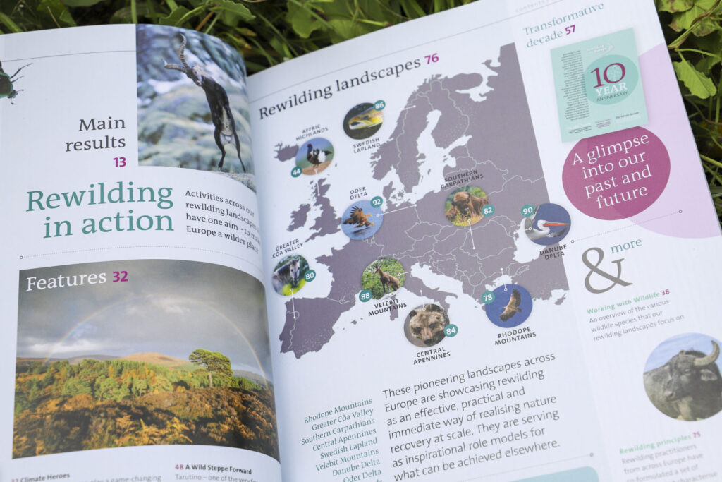Rewilding Europe annual review content page