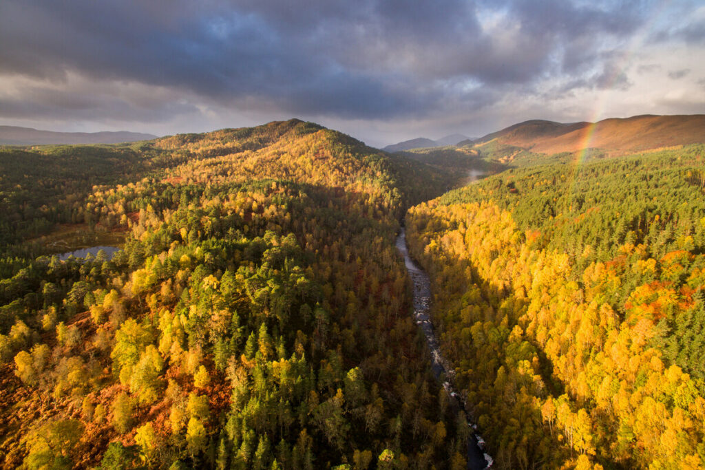 The River Affric runs through autumnal woodland along Glen Affric, Scotland