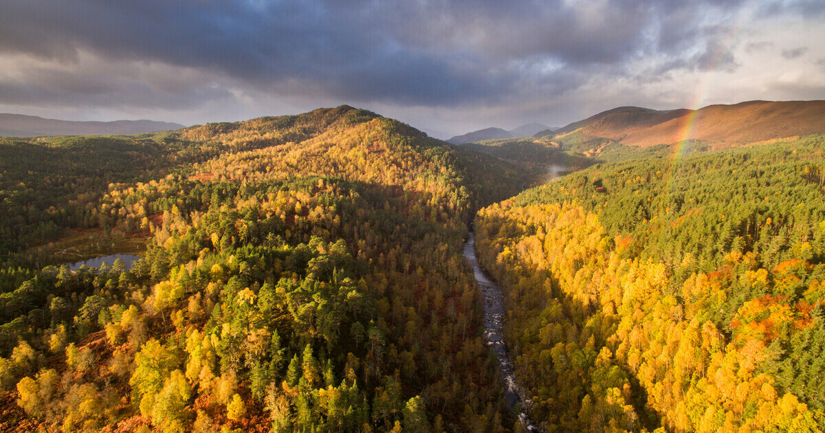 Affric Highlands: wilder rivers to boost climate change resilience