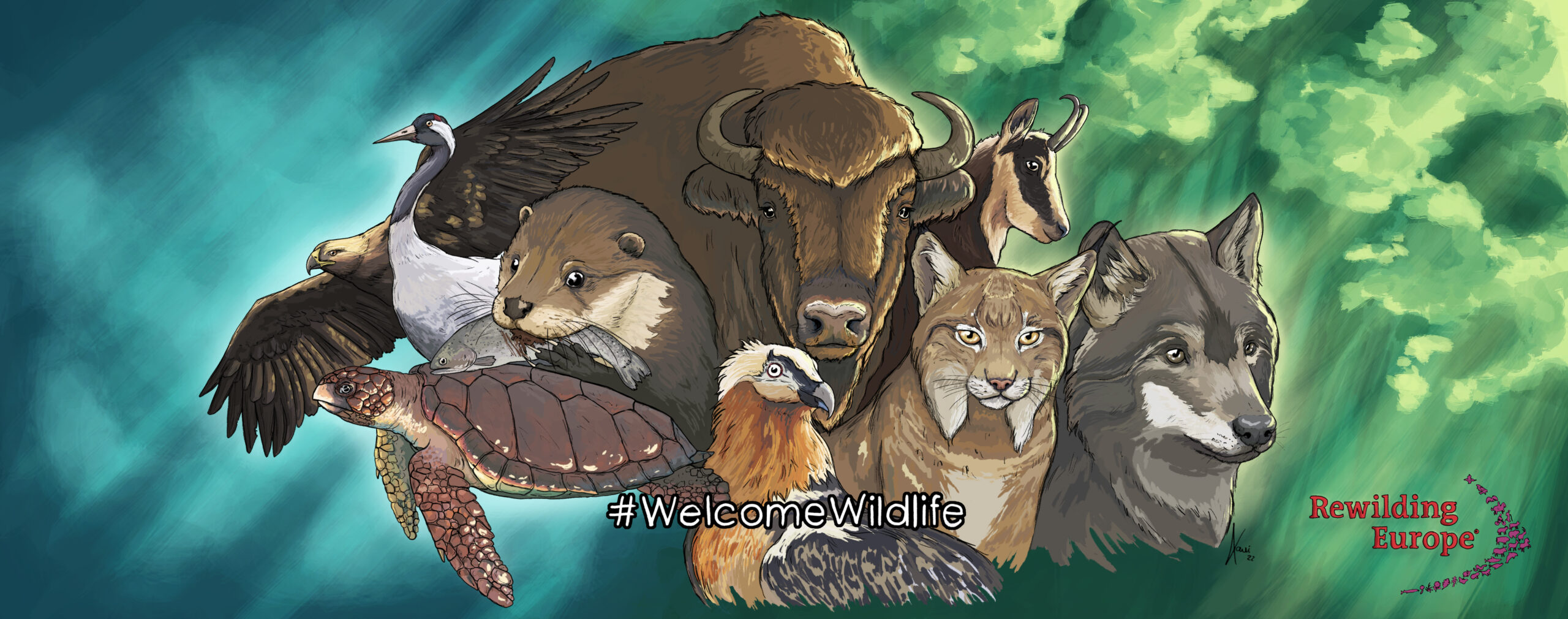 Wildlife Comeback banner #welcomewildlife