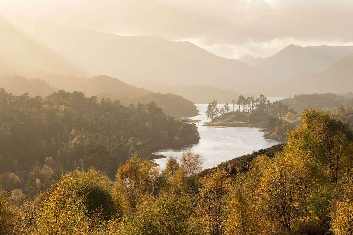 Affric Highlands: wilder rivers to boost climate change resilience