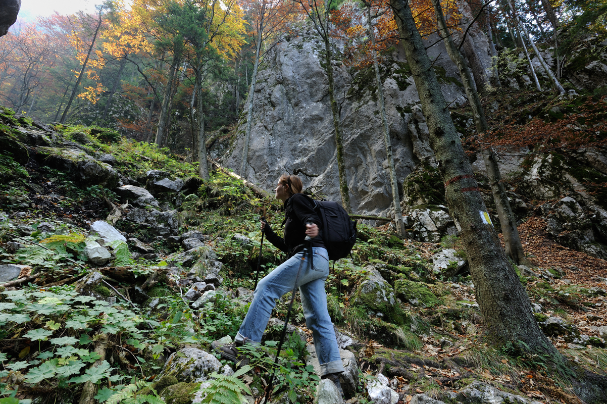 Hiker exploring the Carpathian Mountains