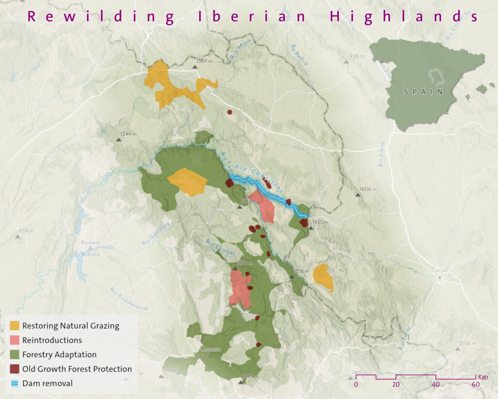 Iberian Highlands - map overview rewilding actions